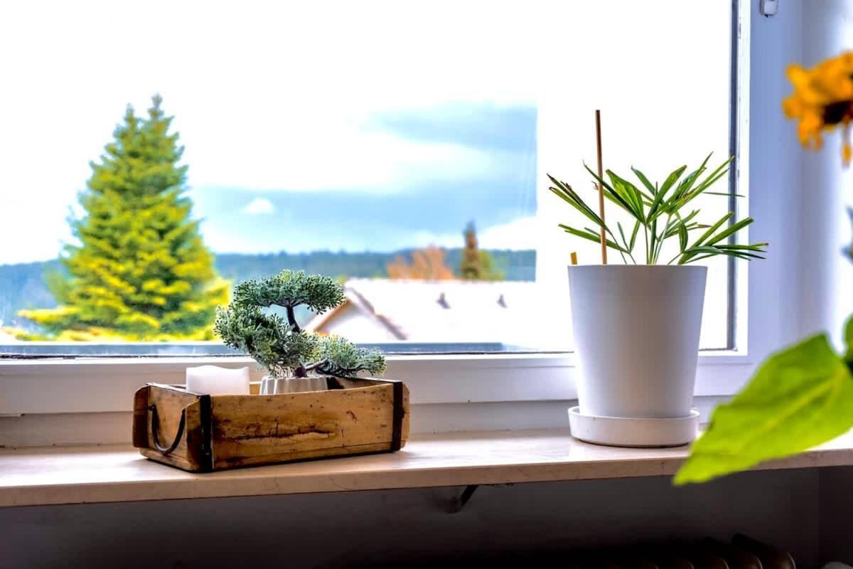 Relaxapartments Black Forest Nature Mit Beheiztem Indoor-Pool Und Sauna - Sonnenbalkon Mit Blick Ins Gruene, Schnelles Internet, Naehe Triberger Wasserfaelle, Fuer Bis Zu 2 Personen Шёнвальд Экстерьер фото